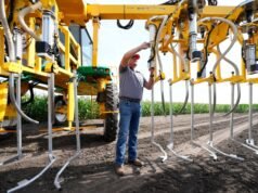 ¿Qué deberíamos reemplazar a los trabajadores inmigrantes expulsados? No los americanos.