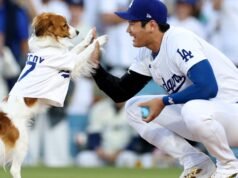 El señuelo para perros favorito de los fanáticos de Shohei Ohtani recibe un tributo de 28 pies