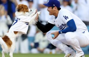 El señuelo para perros favorito de los fanáticos de Shohei Ohtani recibe un tributo de 28 pies