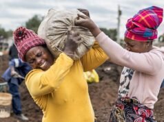 La fiebre del oro llega a Sudáfrica tras un afortunado hallazgo en un corral de ganado