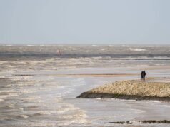 Las regiones costeras alemanas se preparan para el cambio por temor al aumento del nivel del mar