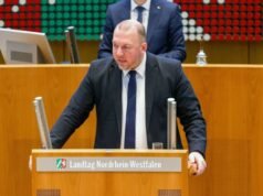 Suspenden el salario de la esposa del diputado alemán de extrema derecha por nepotismo