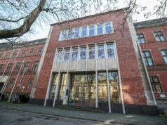 La inteligencia alemana no puede calificar a AfD de partido extremista “confirmado”