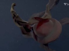 Medusa recién descubierta descrita como “del tamaño de un autobús”