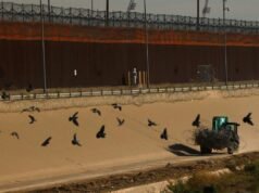 Esta es la VERDADERA razón por la que la izquierda apoya una frontera sudamericana abierta de par en par