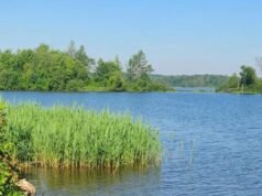 Ubicado entre Montreal y Ottawa se encuentra el pintoresco Canada River Park con playas, campamentos y senderos.