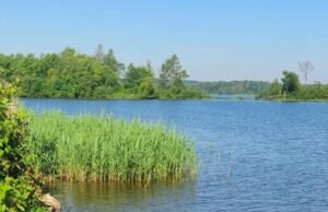 Ubicado entre Montreal y Ottawa se encuentra el pintoresco Canada River Park con playas, campamentos y senderos.