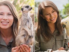 Bindi Irwin honra el Día Mundial de la Vida Silvestre con conmovedores encuentros con animales en el Zoológico de Australia