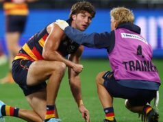 Garry Lyon critica a Adelaide y Jordon Butts por situación de conmoción cerebral retrasada