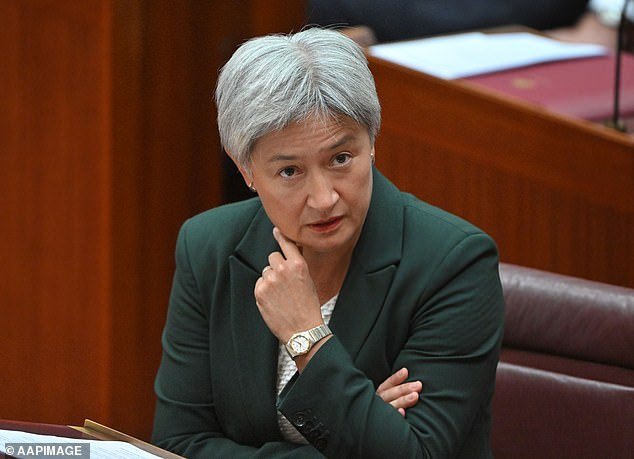 106791615-15605311-Penny_Wong_pictured_said_that_the_censure_motion_against_Hanson_-m-4_177243115978.jpeg