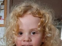 La extraña teoría de la conspiración de Gus Lamont de Google AI: a medida que surgen nuevos detalles sobre el hombre desaparecido vinculado a la desaparición de su amado niño