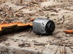 Seis personas arrestadas después de lanzar ‘bombas de clavos caseras’ en la casa del alcalde de Nueva York