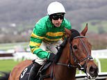 Su hoja de trucos para vencer a los corredores de apuestas el primer día en Cheltenham, JP McManus está listo para el éxito de su cumpleaños y el desafío maratónico de Sir Anthony McCoy: CHELTENHAM BREAKFAST