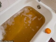 Ciudad exclusiva del Valle de Napa indignada después de que las autoridades dijeran a los residentes que el agua del grifo marrón y apestosa es SEGURA para beber