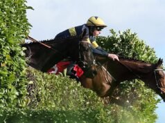 Festival de Cheltenham EN VIVO: últimos consejos, tarjetas de carreras y resultados del Día de San Patricio el jueves, ya que el gran favorito está FUERA