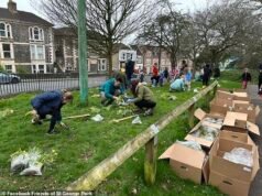 Indignación por la torpeza del consejo que destruye miles de flores apenas unos días después de que fueron plantadas por voluntarios