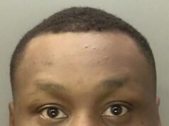 Conductor a exceso de velocidad que mató a una niña de cuatro años “brillante y alegre” mientras se abalanzaba hacia la multitud durante las celebraciones del Eid condenado a cinco años de prisión