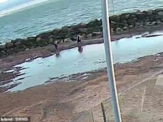 Momento en que madre e hija son rescatadas de arenas movedizas que les llegaban hasta la cintura mientras la marea sube en un balneario