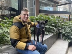 Un emprendedor tecnológico utiliza ChatGPT para crear una vacuna contra el cáncer personalizada para su PERRO, y el avance pronto podría ayudar también a los humanos