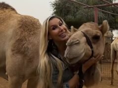 ¿Conoce Dubái? A los británicos se les ofrece terapia con camellos en atracciones vacías desesperadas por turistas en una ‘ciudad fantasma’ del desierto