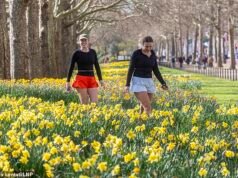 ¡Por fin llega la primavera! Partes de Gran Bretaña disfrutarán de cinco días de sol de pared a pared, ya que las temperaturas alcanzarán los 20 ° C a partir de mañana, lo que hará que el país sea más caluroso que Ibiza y Corfú.