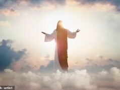 Si está buscando una prueba del cielo, esta podría ser la solución. Examiné 50 años de evidencia y mi descubrimiento me llena de esperanza