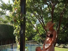 Gran noticia familiar para los Silvagni tras un año infernal