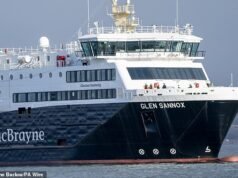 El ferry afectado por el escándalo queda fuera de servicio… apenas unas horas después de regresar de las reparaciones
