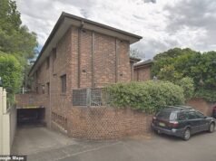 Estalla una salvaje batalla legal por un árbol en uno de los suburbios más ricos de Australia mientras una pareja lucha para salvar de los daños su casa de 3 millones de dólares.