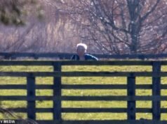 Andrew Mountbatten-Windsor pasea solo a su perro por Sandringham mientras se le ve por primera vez desde su arresto.