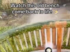 ¡El lavado a presión es la nueva terapia! Por qué no nos cansamos de ver a la gente lavar con manguera sus patios sucios y sus caminos cubiertos de musgo, y dónde comprar una hidrolimpiadora a presión para SU jardín