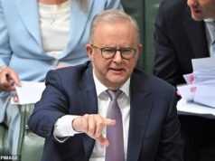 El gobierno albanés apoya el aumento de los salarios de millones de trabajadores australianos para hacer frente al aumento del coste de vida