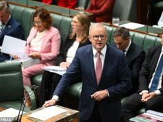 Australia prohíbe a los iraníes: el gobierno albanés cierra temporalmente la frontera