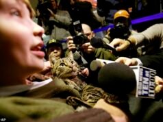 Historias asombrosas de supervivencia animal: desde perros chinos que Corgi trajo a casa hasta elefantes que escaparon del zoológico y viajaron 300 millas por todo el país.