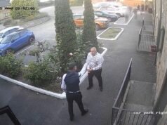 El peluquero canino Moment es atacado por el marido de su rival en la entrega de premios tras ganarle el primer premio