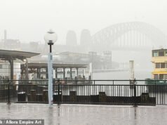Ferries de Sídney cancelados debido a condiciones costeras “mortales”