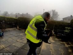 Conductor de Amazon atrapado en el timbre de Ring robando el gato de la familia mientras hacía la entrega se enfrenta a la cárcel