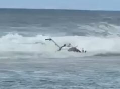 Terror en Hawái: tres personas mueren en un accidente de helicóptero turístico en una playa paradisíaca