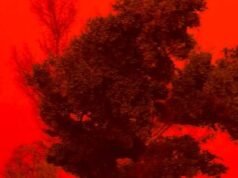 Los australianos atrapados en el camino de destrucción del ciclón Narelle evalúan los daños después de que vientos de 100 km/hora cubrieran toda la ciudad de polvo rojo.