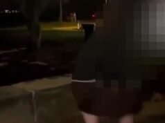 Momento repugnante: una niña de 14 años es golpeada y pisoteada por un matón en un ataque no provocado, mientras el padre furioso de la víctima habla