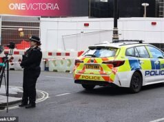 Dos hombres, de 18 y 21 años, han sido arrestados bajo sospecha del asesinato de un hombre de 26 años en Westminster.