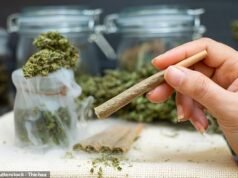 El consumo prolongado de cannabis “cambia la estructura del cerebro y deja a los consumidores desmotivados, incapaces de tomar decisiones y enfrentados a tareas complejas”
