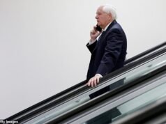 La animadora de guerra Lindsey Graham fue quemada sin piedad por cenar en Disney World, mientras miles de trabajadores federales no recibían su salario.