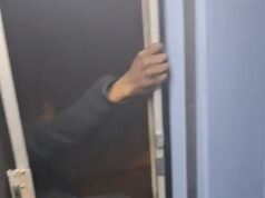 Un tonto viajero de Chicago filmado gritando y riendo mientras cuelga la mitad de su cuerpo fuera de la ventanilla del TREN a alta velocidad