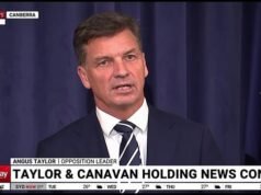 Dentro de la campaña laborista de 600 millones de dólares para atraer aún MÁS políticos a Australia: “Eso no es lo que necesitamos”