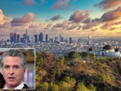 Cómo las políticas de Florida pueden salvar a California