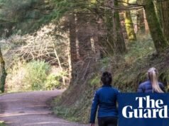 Las alegrías de los perros y los dueños anónimos | Perros