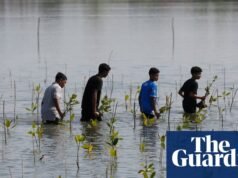 Los recortes de ayuda climática son un desastre para el Sur | Ayuda