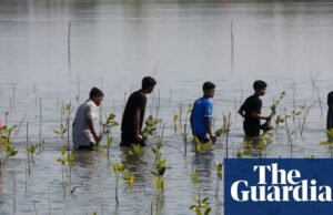 Los recortes de ayuda climática son un desastre para el Sur | Ayuda