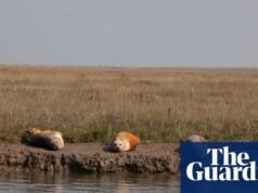 Debemos proteger nuestros hábitats naturales antes de que desaparezcan | Ambiente